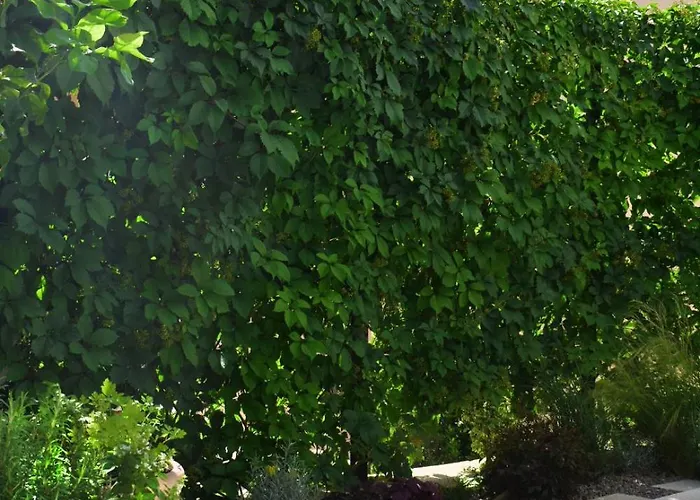 Design Coastal Garden Apartament *