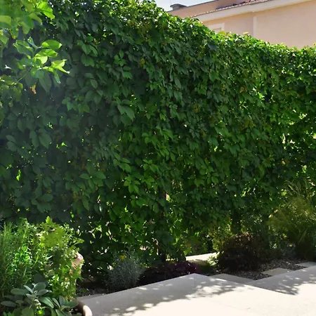 Design Garden Appartement *